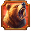 blazin buffalo extreme bear symbol