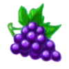 blazing coins 100 grape symbol