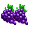 blazing coins 27 grapes symbol