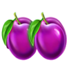 blazing coins 27 plum symbol