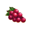 blazing coins deluxe red grape symbol