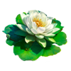 blazing horses hold and win lotus flower symbol
