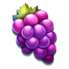 blitz super wheel grapes symbol