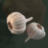 blood night garlic symbol