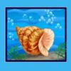 blue dolphin shell symbol