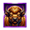 bonanza link midnight train x1000 buffalo symbol
