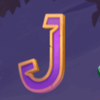 bonsai spins j symbol
