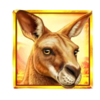 bonza bucks hold and win extreme 10000 kangaroo symbol