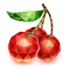 book of crystal fruits cherries symbol