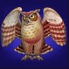 book of fortune owl symbol
