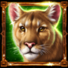 book of majestic wild buffalo symbol 3