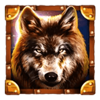 book of rampage reloaded wolf symbol