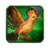 book of suleiman bird symbol