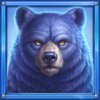 book of the golden buffalo bear symbol