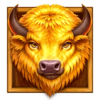 book of the golden buffalo bison symbol