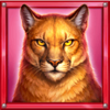 book of the golden buffalo cougar symbol