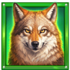 book of the golden buffalo wolf symbol