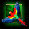 book of the jungle parrot symbol