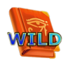 book of treasures wild symbol