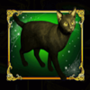 book of witchcraft cat symbol