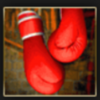 boxing gloves symbol