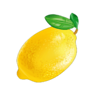 bubbly fruits lemon symbol