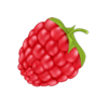 bubbly fruits raspberry symbol