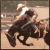 buckin broncos horse riding symbol