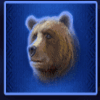 buffalo blitz bear symbol