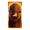 buffalo dale grandways buffalo symbol