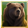 buffalo goes wild bear symbol
