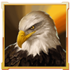 buffalo goes wild eagle symbol