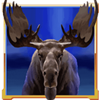 buffalo goes wild moose symbol