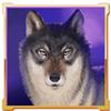 buffalo goes wild wolf symbol