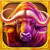 buffalo hold and win 1
