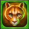 buffalo hold and win extreme 10000 puma symbol