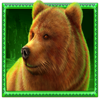buffalo hunt bear symbol