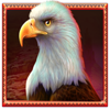 buffalo hunt eagle symbol