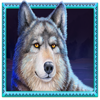 buffalo hunt wolf symbol