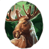 buffalo rising megaways deer symbol