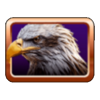 buffalo splash eagle head symbol
