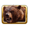 buffalo splash grizzly bear symbol