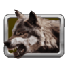 buffalo splash snarling wolf symbol