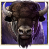 buffalo trail cash mesh link buffalo symbol