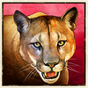 buffalo trail cash mesh link puma symbol