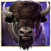 buffalo trail ultra buffalo symbol