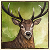 buffalo trail ultra deer symbol