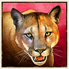 buffalo trail ultra puma symbol