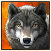 buffalo trail ultra wolf symbol