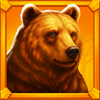 buffalo treasure hold and win bear symbol